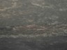 The ceiling is the layer of silt separating the shale layer and the salt.